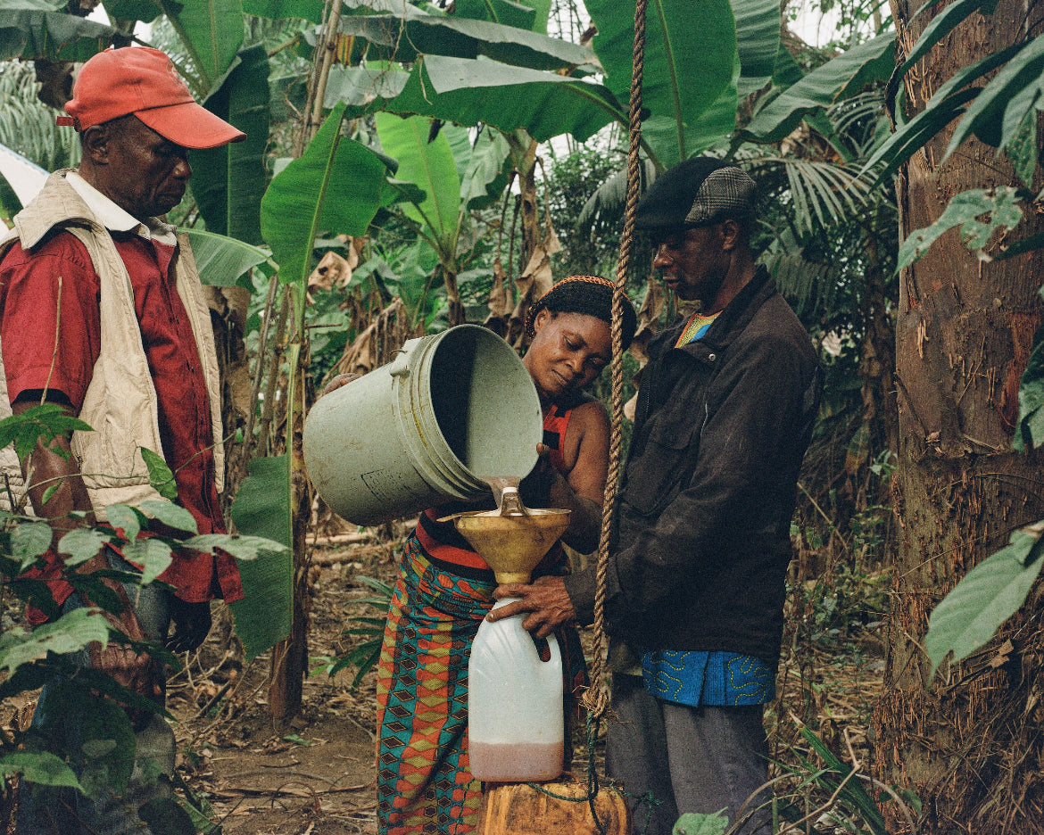 Freshly tapped palm wine getting filtered
